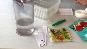 Применение Эпина для замачивания семян перца
