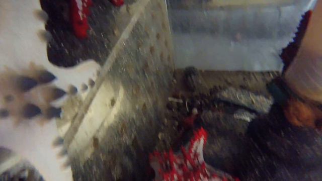 морские звезды (новинка) смотреть онлайн