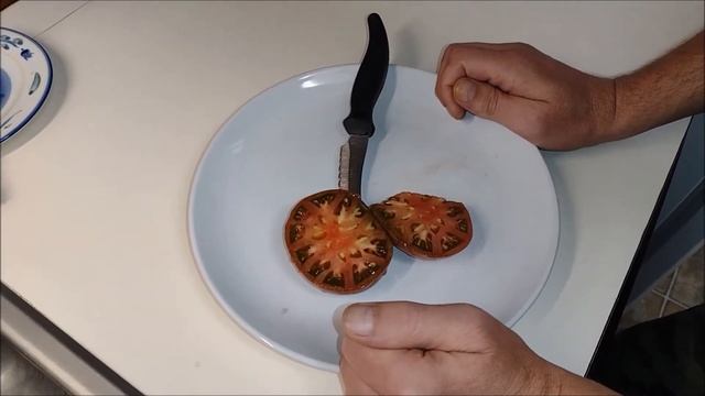 Tomato Tester: Dwarf Rosella Purple(Flavor Extreme)!