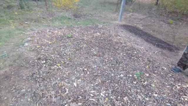 Как улучшить тяжелую почву и повысить плодородие / Простой и экологичный способ / Вывез мусор смотреть онлайн