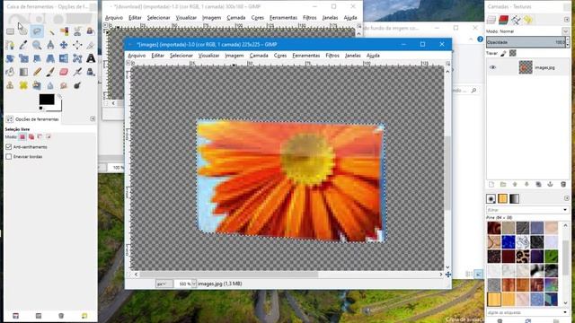Como remover o fundo da imagem com o Gimp смотреть онлайн