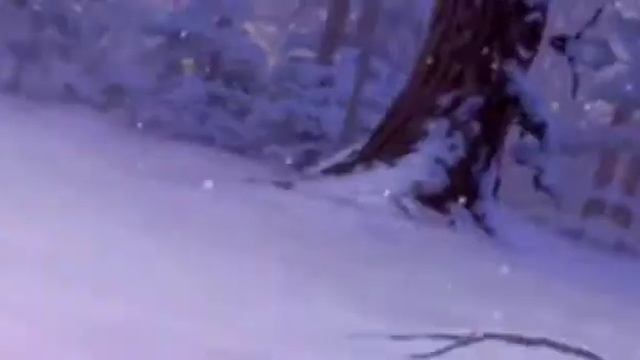 ^•^[❄️] Пак зимних фонов, которые я использую [❄️]°•^