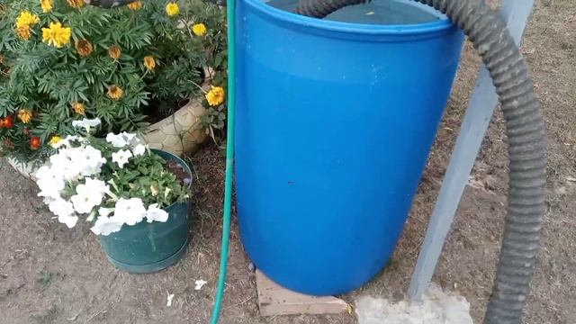 РЕАНИМАЦИЯ АБИССИНКИ ИЗ МЕТАЛЛИЧЕСКОЙ ТРУБЫ/АЭРЛИФТ/ПРОМЫВКА ПОД ДАВЛЕНИЕМ/ПОЛОЖИТЕЛЬНЫЙ РЕЗУЛЬТАТ смотреть онлайн