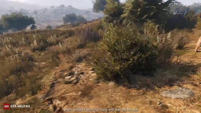 Кактус пейот 14 — GTA 5 смотреть онлайн