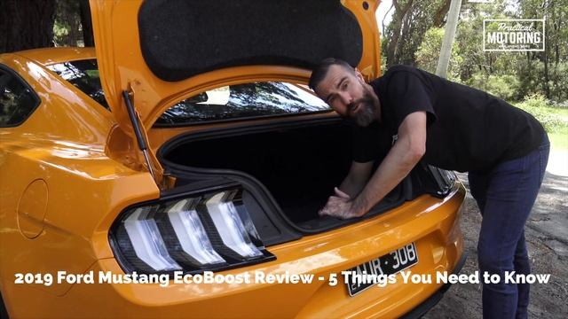 2019 Ford Mustang EcoBoost Review - Is it a 'real' Mustang? смотреть онлайн