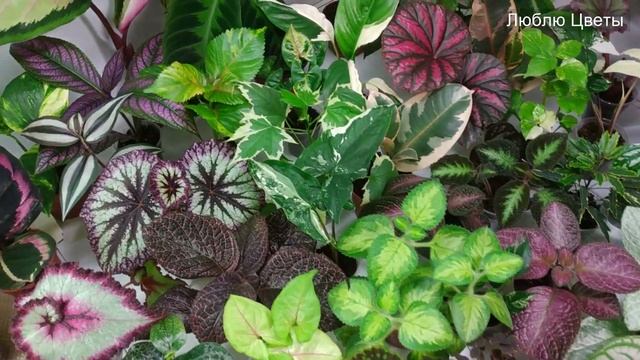 Вопрос для подписчиков