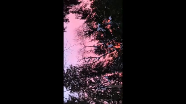 НОВЫЕ ВАЙНЫ (#gan_13_)