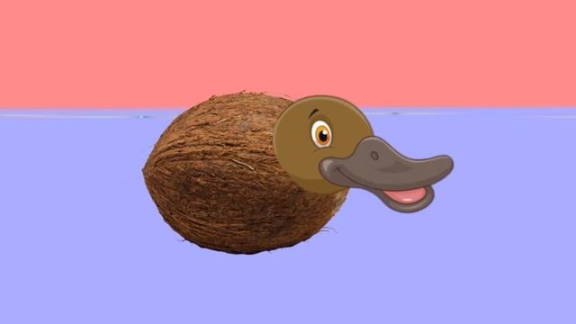 Сундук Бурундук Блинчик Дельфинчик Кокос Утконос Пирог Носорог