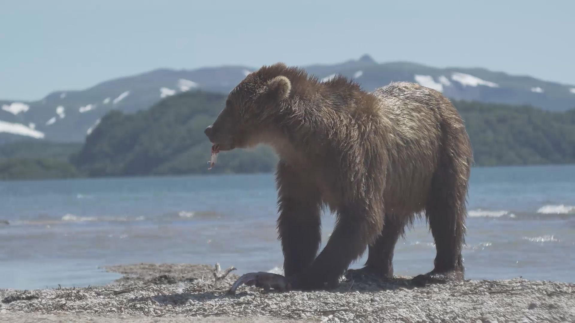 БУДЬТЕ ОСТОРОЖНЫ!