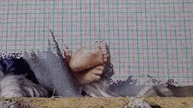 ВЫШИВКА ПО ЗАСЛУГАМ || МНОГОЦВЕТНАЯ ВЫШИВКА КРЕСТОМ И ГОБЕЛЕНОМ смотреть онлайн