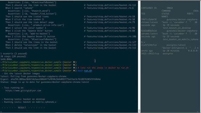 docker capybara video single and smoke parallel run смотреть онлайн