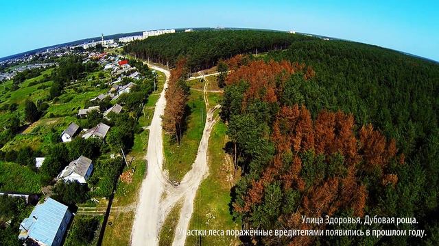Спасите наши леса!!! Обращение к лесным хозяйствам Славутского района. смотреть онлайн