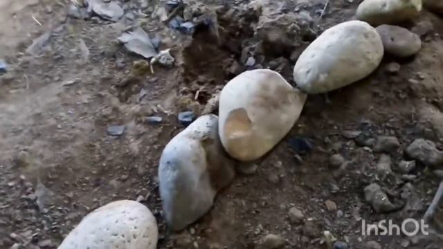 Наш штаб "ОЗБ'' смотреть онлайн