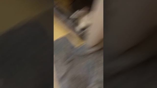 Как почистить фильтр в стиральной машинке. Zanussi ZWY 51024WI смотреть онлайн