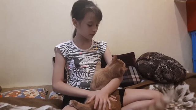 Мои домашние питомцы. смотреть онлайн