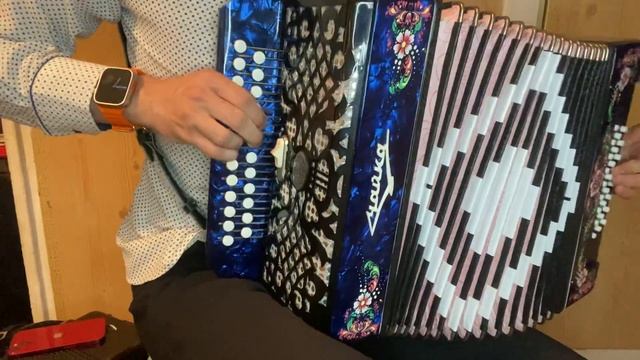Шикарнейшая Шуя. Гармонь Чайка Современная. Звонкая за 40тыс 89102328922 продажа-купить смотреть онлайн