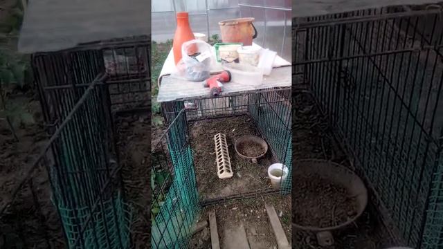 Наше хозяйство, отчёт о проделанной работе смотреть онлайн