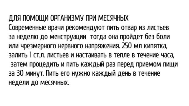 Щавель польза и вред смотреть онлайн