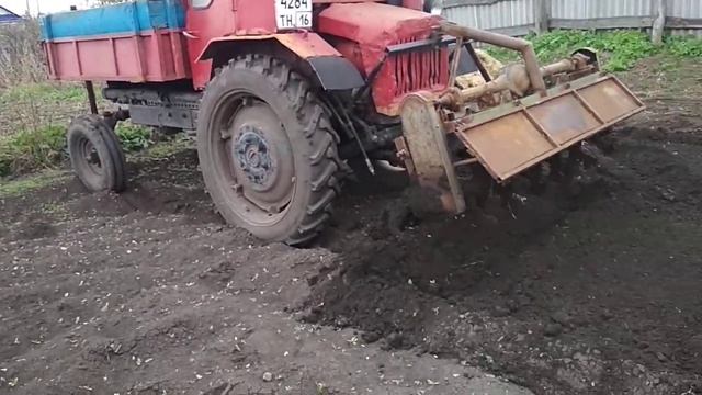 тяжёлая работа трактора т-16 с самодельной почвофрезой захват 1.70 смотреть онлайн