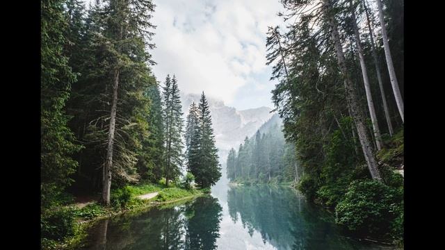 Роли История (США) смотреть онлайн