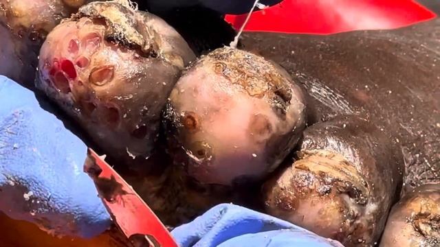 Heavily jiggered Patrick’s right foot - watch juicy full video @riseupsociety.net смотреть онлайн