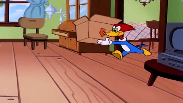 El Pájaro Loco en Español | 1 Hora de Compilación | Dibujos Animados en Español смотреть онлайн