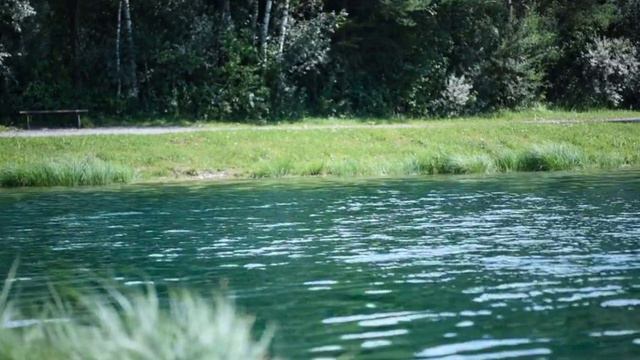 Музыка моей души - Павел Ружицкий смотреть онлайн