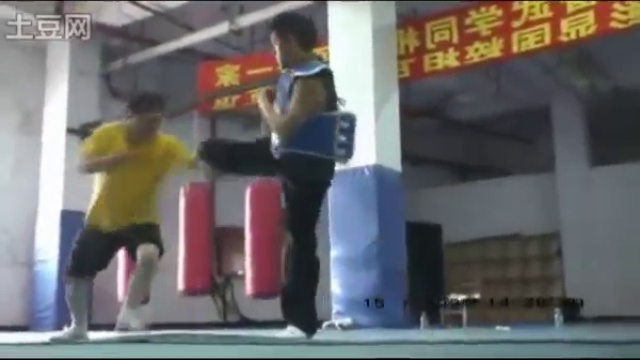 Tongbei - Baji Quan Master Li Tianhua