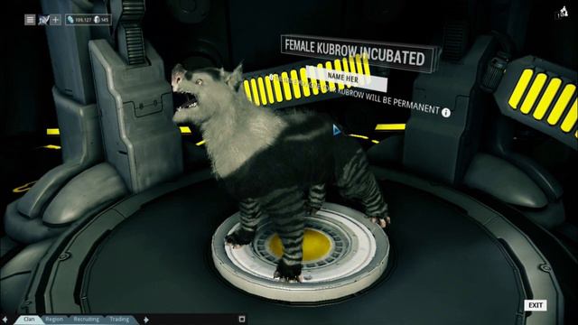 Name my Kubrow and Win a Steam Game! смотреть онлайн