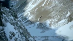 Футаж Аист несет ребенка скачать - для видеомонтажа детского фильма