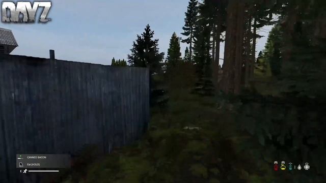 Top 6 Hidden Base Locations In DayZ 1.18 | Chernarus смотреть онлайн