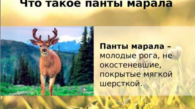 Уход за кожей в летний период. Советы от Батэль смотреть онлайн