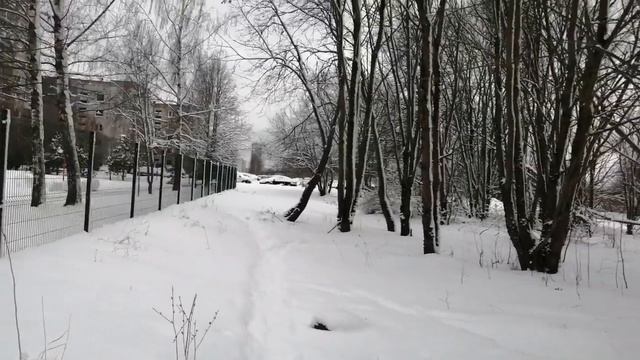 КОКОВО ПОСЛЕ СТРАЙКА | НИКТО НЕ ПИШЕТ КОММЕНТАРИИ | ОБЗОР МОЕГО КАНАЛА #литва #terelifevlog #вильню смотреть онлайн