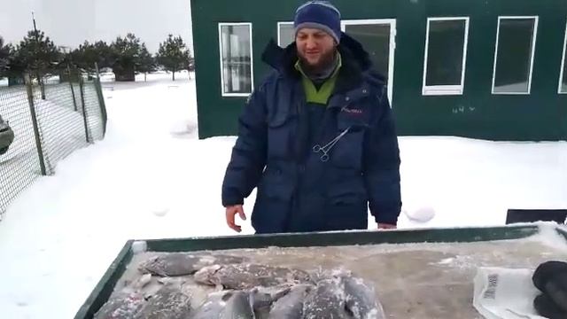 08.03.21 рыбалка Гарантия смотреть онлайн