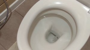 Гигиенический душ. (Просто.Удобно. Обязательно!)