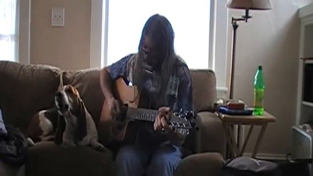 Marley dog sings with Dave corbit : Little Red Rooster смотреть онлайн