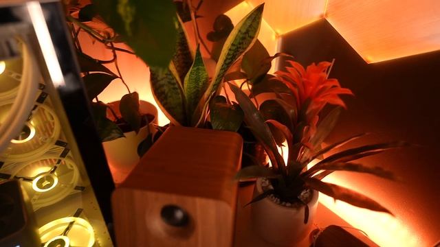 The Ultimate Dream Wood Desk Setup! смотреть онлайн