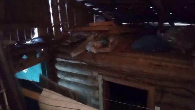 Обзор нашей дачи))) смотреть онлайн