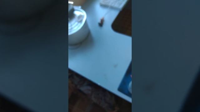 Дегустация гнилого яблока смотреть онлайн