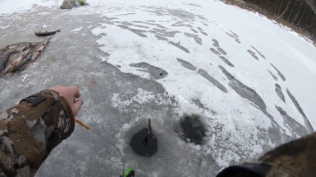 ВОТ И ПОКОРЁН ПЕРВЫЙ ЛЁД! Крутое открытие зимней рыбалки! Ловля щуки по перволёдке на жерлицы! смотреть онлайн