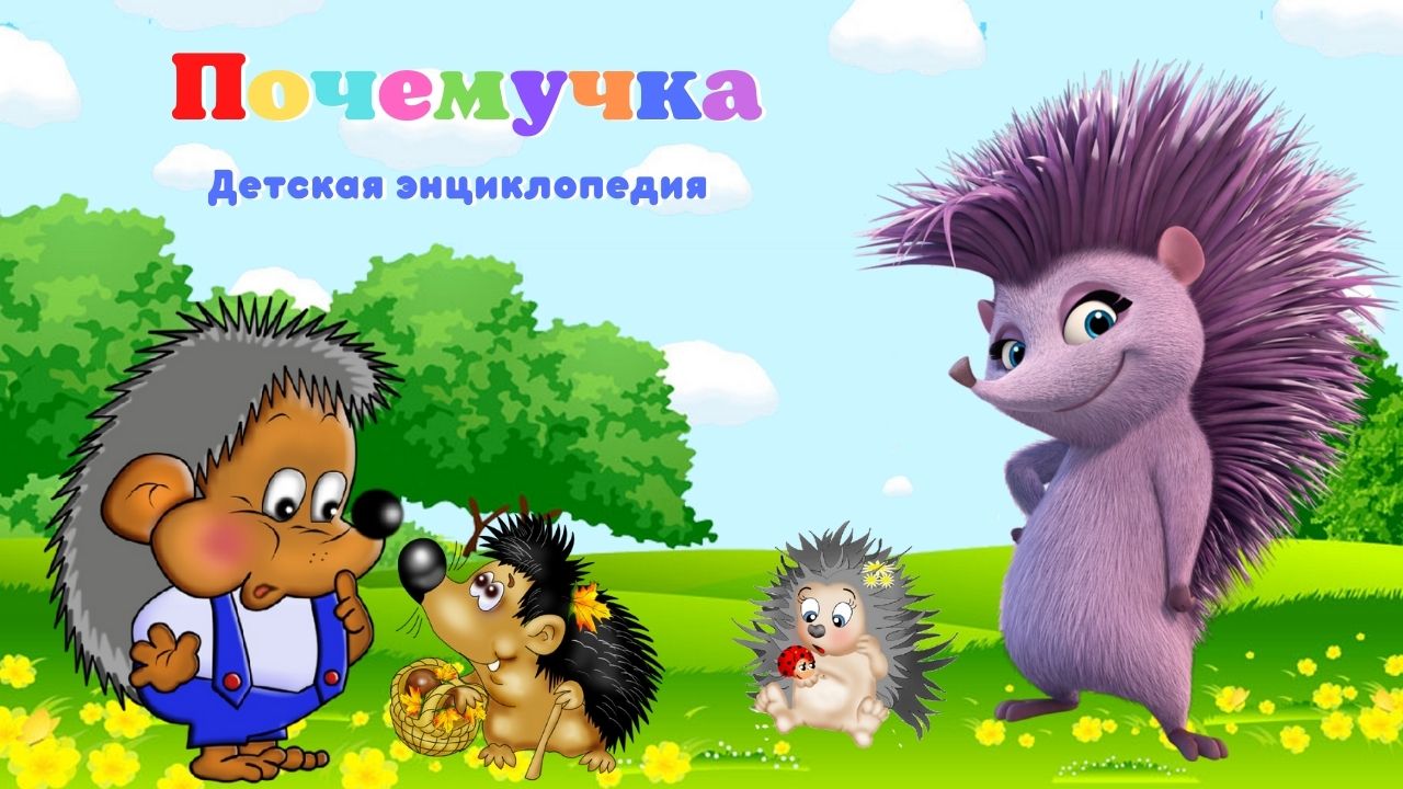 0+ Что едят ёжики? Почемучка. Детская энциклопедия. смотреть онлайн