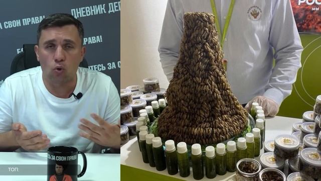 ЖЕСТЬ! Продовольственная безопасность лапшой и шоколадками из сверчков смотреть онлайн