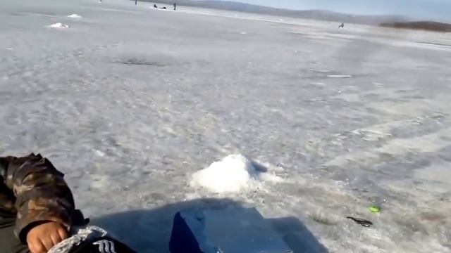 ЛИСА С РУКИ ЕЛА Колбаску??!!! Приколы на рыбалке \ Fish Fox смотреть онлайн