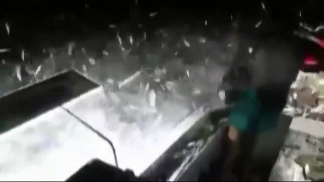 Запрещенный способ ловли рыбы в Ливане смотреть онлайн