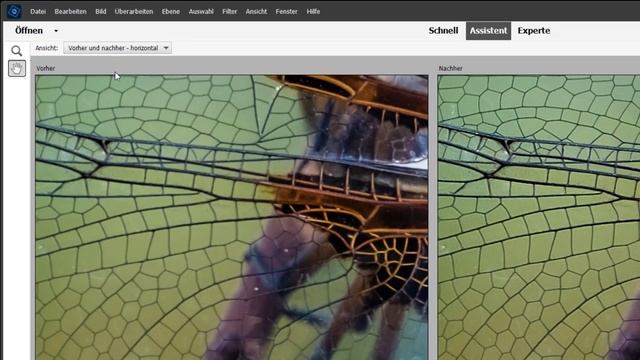 Photoshop Elements 2023: 3 brillante Möglichkeiten zum Nachschärfen von Fotos смотреть онлайн