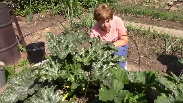 Природное земледелие в гостях у Далингер Людмилы смотреть онлайн