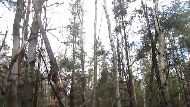 СМОРЧКИ смотреть онлайн