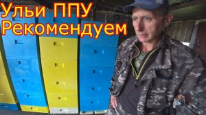Ульи ППУ, РЕКОМЕНДУЕМ!