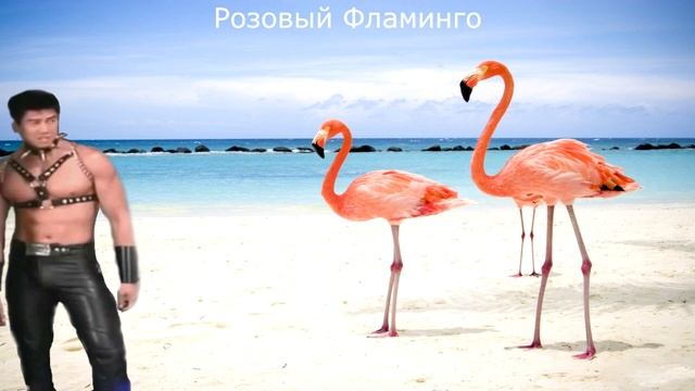Алёна Свиридова - Розовый фламинго (Right Version♂)