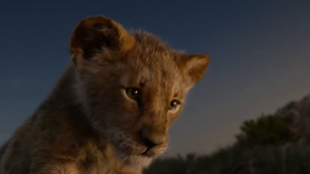 Трейлър на филма "Цар Лъв" (2019), реж. Джон Фавро смотреть онлайн